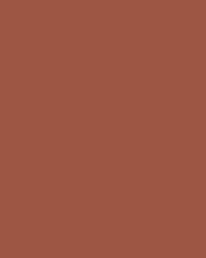
            
                Load image into Gallery viewer, Burnt Sienna
            
        